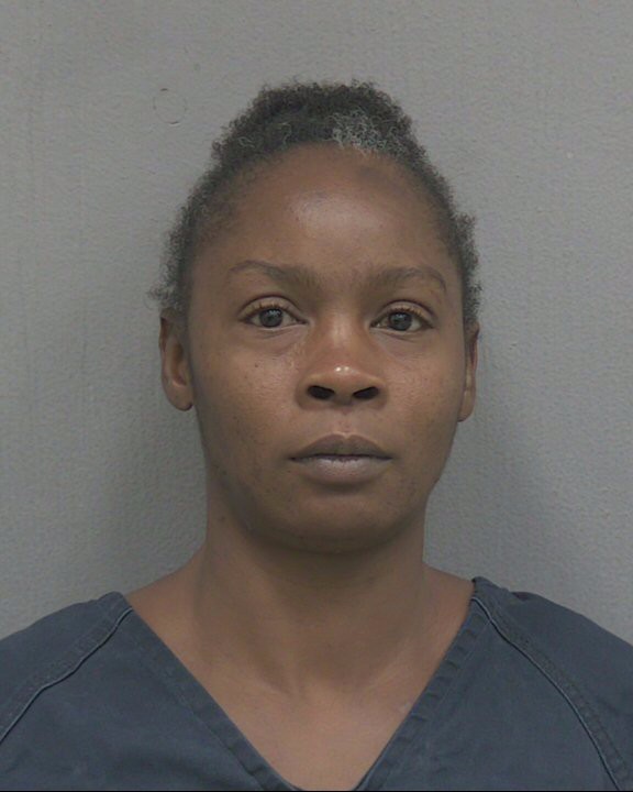 Booking photograph for LAURA LEE JOHNSON