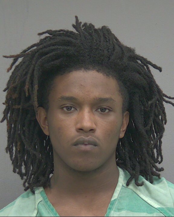 Booking photograph for PETER L ROMAN