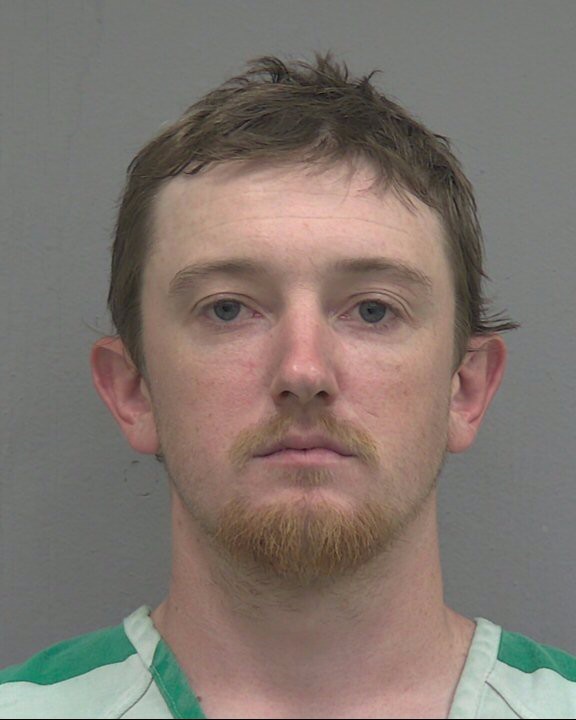 Booking photograph for DAKOTA MCKINLEY NELSON