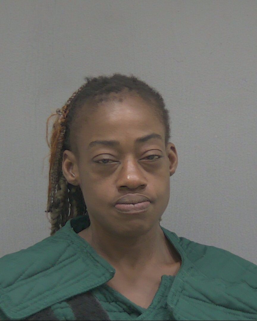 Booking photograph for JAMIE LOUISE HUDSON