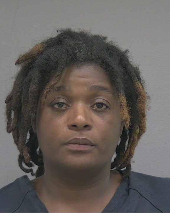 Booking photograph for ASHLEY BRITTANY DAMES
