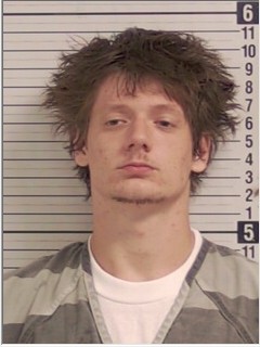 Booking photograph for BRANDON LEE LOVE