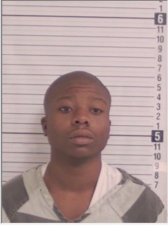 Booking photograph for ZION DESHAUN HOGANS