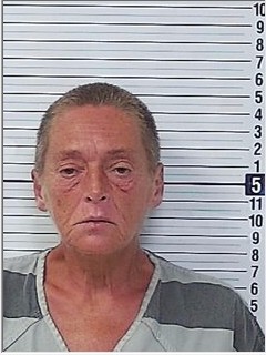 Booking photograph for BONITA GAIL COLE