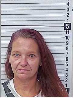 Booking photograph for ELIZABETH GAIL PERRILLOUX