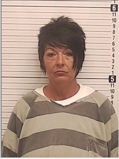 Booking photograph for SHAWNA MARIE MORRIS