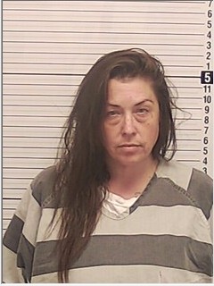 Booking photograph for AMBER NICOLE FRY