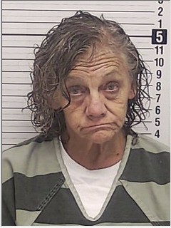 Booking photograph for LISA NOLES HADDOCK