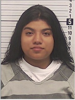 Booking photograph for YULIANY PAOLA FERNANADEZ-ALVARADO