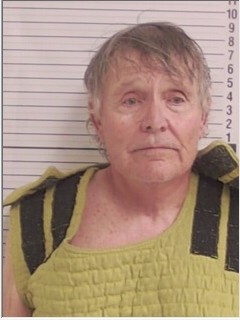 Booking photograph for DENNIS LEE ADAMSON