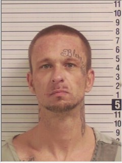Booking photograph for AARON QUINN LOWE