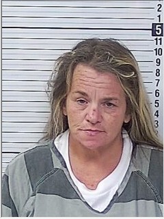 Booking photograph for DANA LYNN MARX