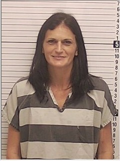 Booking photograph for SARAH MARIE CHAPMAN