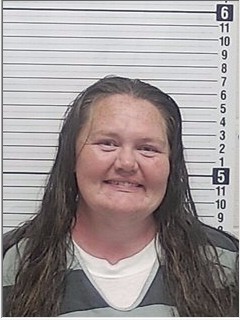 Booking photograph for DANIELLE MARIE TODD