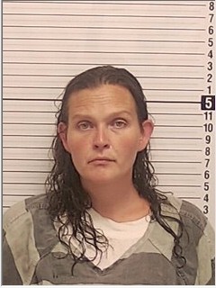 Booking photograph for MANDY GAIL HERNANDEZ