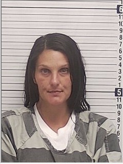 Booking photograph for KIMBERLY LYNN ROBINSON