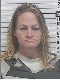 Booking photograph for NIKKI LEA CHRETIEN-JAMES
