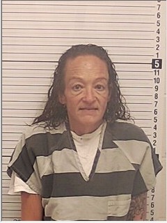Booking photograph for KIMBERLY SUE BORDA
