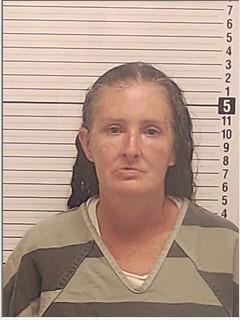 Booking photograph for COURTNEY ELIZABETH GOODWIN