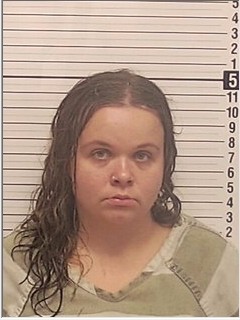 Booking photograph for SARAH CHEYENNE BREEGLE