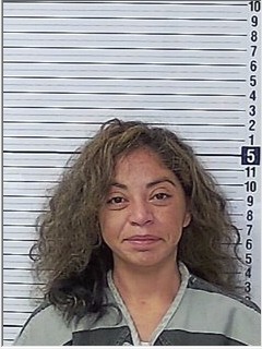 Booking photograph for LESLIE RUTH ARREGUIN