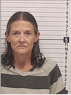 Booking photograph for DEBORAH DIANE COLLINSWORTH