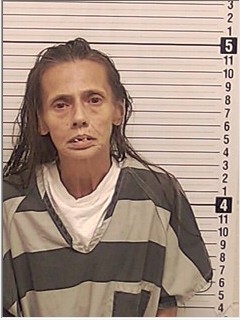 Booking photograph for PAMELA ANN BURROUGHS