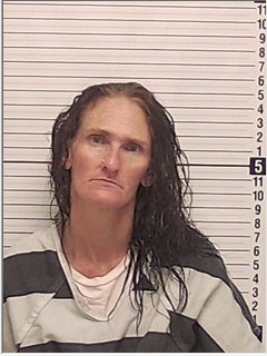 Booking photograph for TIFFANY SANTANA YARBROUGH