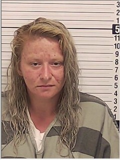 Booking photograph for STEPHANIE LYNN BRASWELL