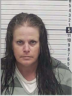 Booking photograph for HEATHER ANN SHANKS