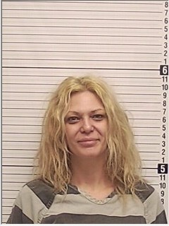 Booking photograph for HOLLY LYNNE HOLT