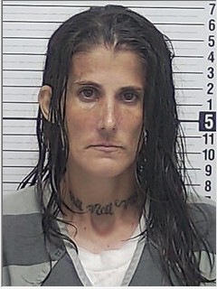 Booking photograph for ASHLEY NICOLE PHILLIPS