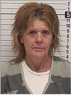 Booking photograph for PAULA LENORA STEPHENS
