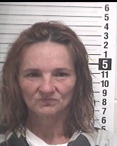 Booking photograph for JANICE MARIE SHEPHERD