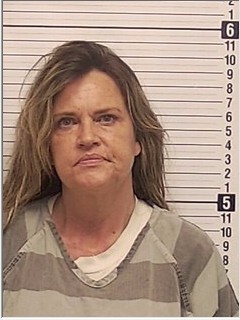 Booking photograph for BRANDI SUZANNE SPROWLS