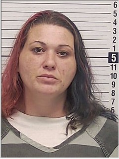 Booking photograph for BRIANA RENEE CARMICHAEL