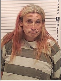 Booking photograph for EARNEST NINA BALDWIN