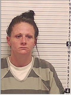 Booking photograph for HALEY CHRISTINE HARRIS