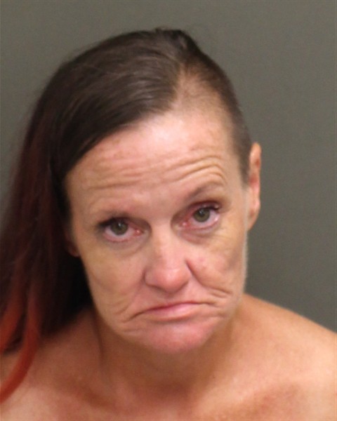 Booking photograph for DANA MCDANIEL