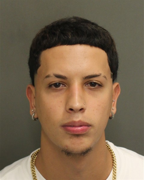 Booking photograph for LUIS JAVIER DIAZALBRIGHT