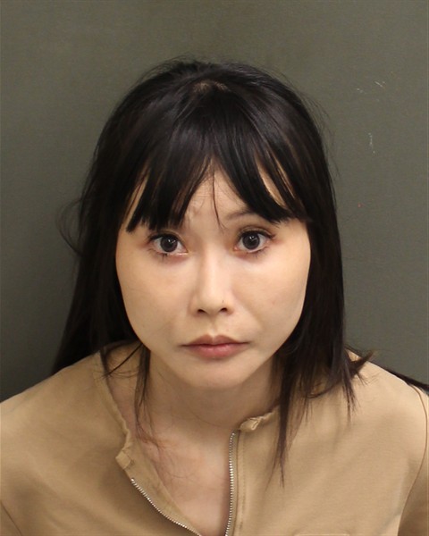 Booking photograph for HUI LIN WENG