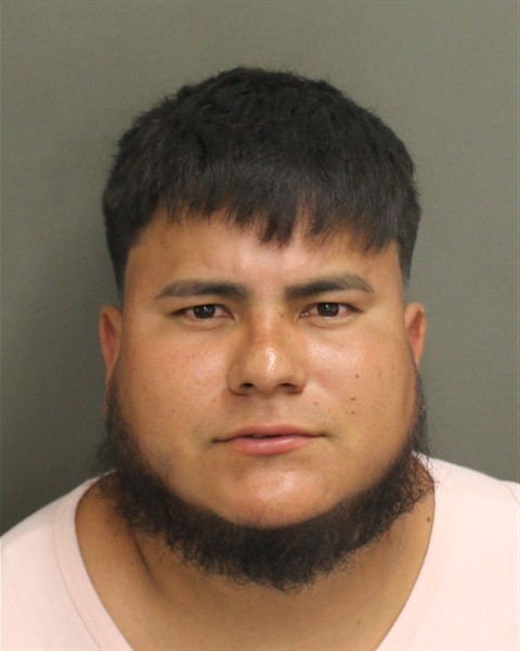 Booking photograph for LONIS ADONIS MARTINEZPINEDA
