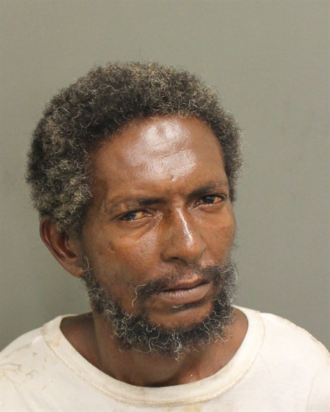 Booking photograph for TSEGHU MEKONEN