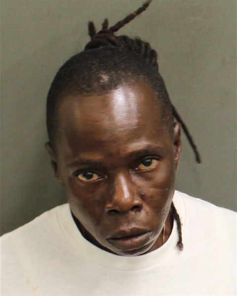 Booking photograph for MARY YVES LUCATE