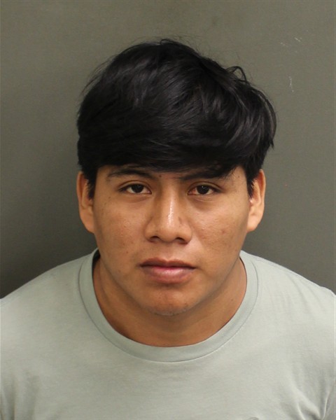 Booking photograph for DANILO ANIBAL RAMIREZSALES