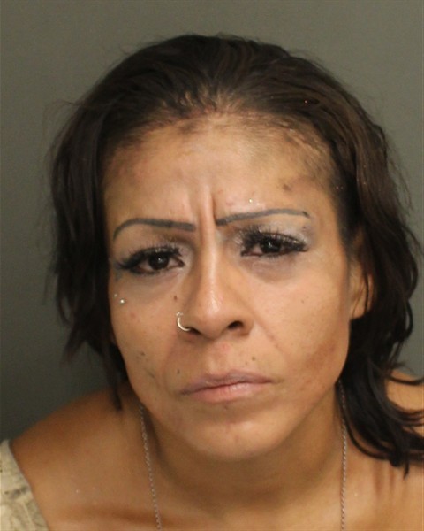 Booking photograph for PRISCILLA ANN FERNANDEZ