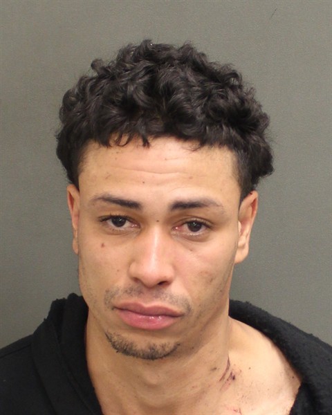 Booking photograph for RONEL THEN ROSARIO