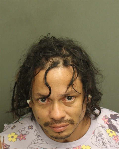 Booking photograph for ELIEZER TORRES
