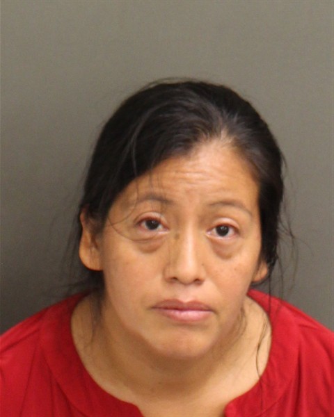Booking photograph for ELENA CHAVEZ