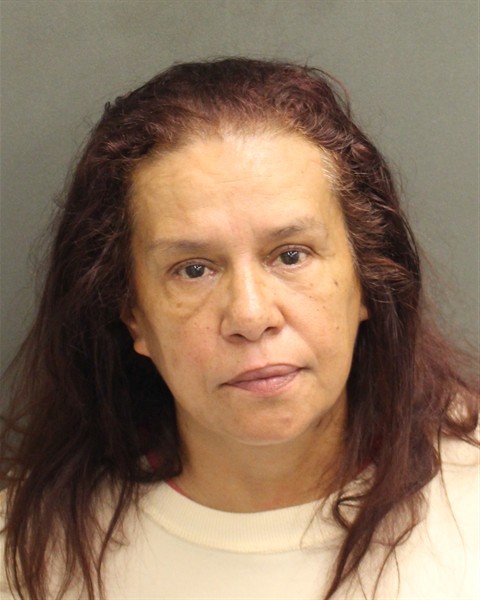 Booking photograph for DIANA MATOS